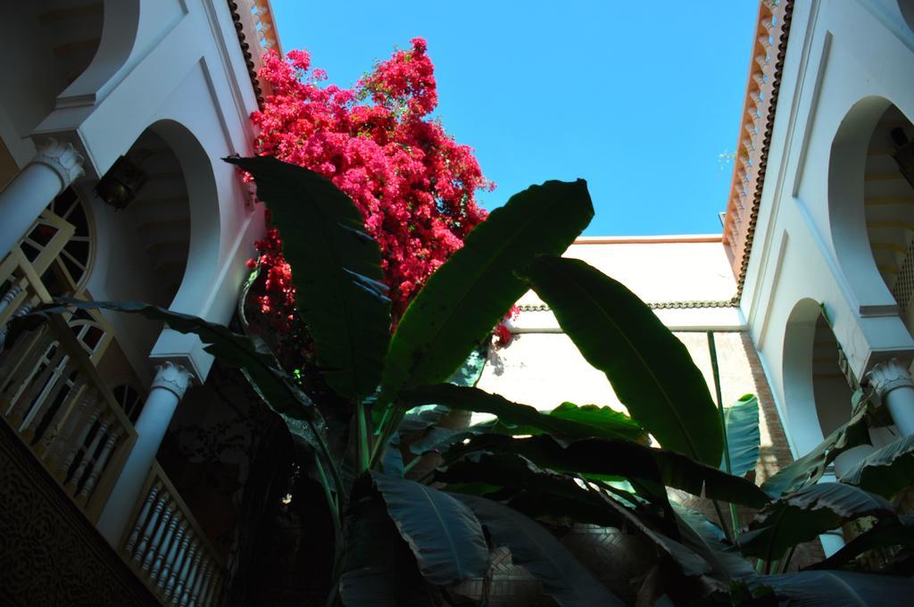 Riad Habib Marrakesh Buitenkant foto
